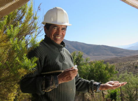 Muestra itinerante “El Minero Lavador de Oro de Andacollo” culmina su exposición en Vicuña