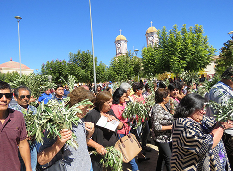 Con gran cantidad de fieles se celebró el Domingo de Ramos en Andacollo