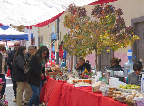 Andacollinos participaron con entusiasmo en la conmemoración del Día del Patrimonio Cultural