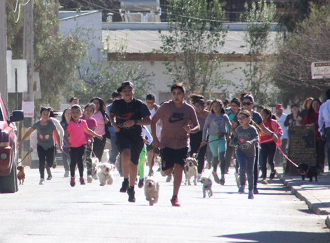 Cerca de 70 personas participaron de la primera corrida junto a sus mascotas