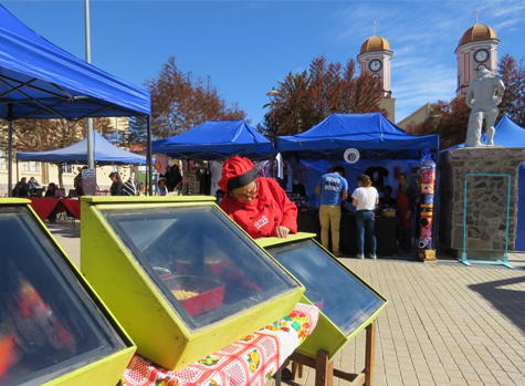 Visitantes descubren las bondades turísticas de Andacollo en Feria Costumbrista