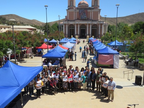 Organizaciones comunitarias andacollinas realizarán exposición anual