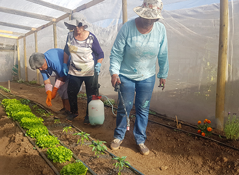 APROMA, el colectivo andacollino que se la juega por la agroecología