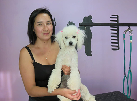 Joven madre andacollina instala peluquería para mascotas