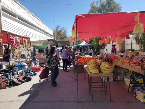 Feria se realizará solo con puestos que  vendan frutas, verduras, alimentos y artículos de aseo