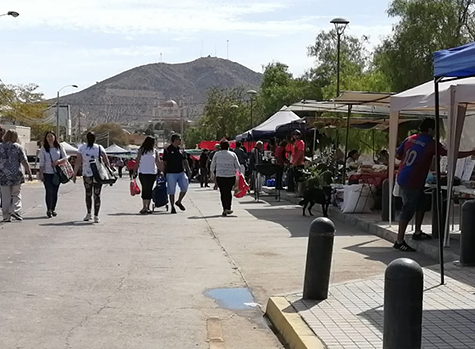 Feria libre se adelanta para el viernes 10 de abril