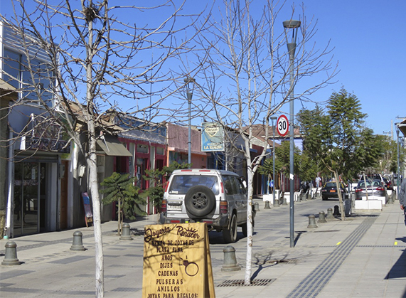 Comercio andacollino se adecua para continuar funcionando con medidas de seguridad