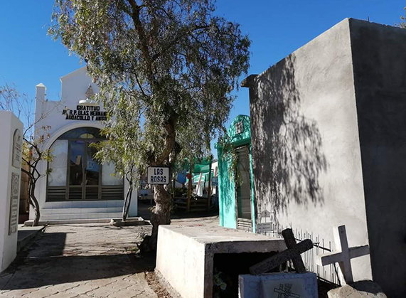 A partir del lunes Cementerio Católico de Andacollo tendrá un nuevo horario