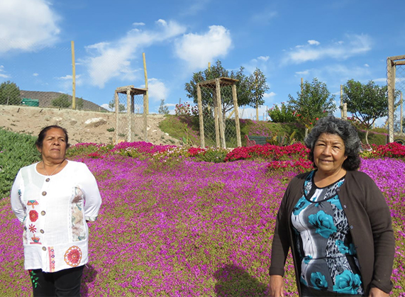 Vecinas de la Nueva Churrumata recuperan sitio eriazo para la comunidad