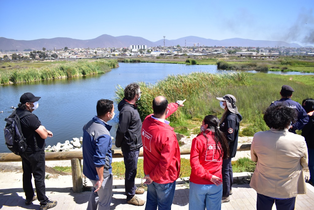 Humedales de Coquimbo serán monitoreados a través de un proyecto piloto para resguardar el ecosistema