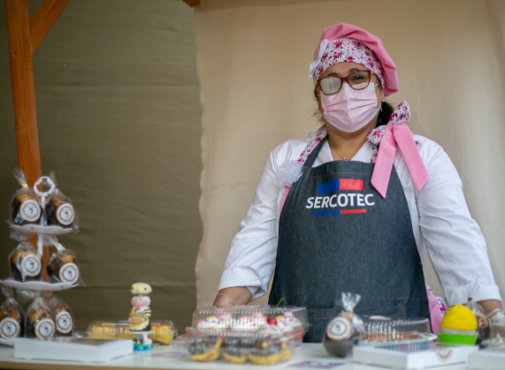 Sercotec invita a postular a mujeres emprendedoras al programa “Capital Abeja” que incluirá a adultas mayores