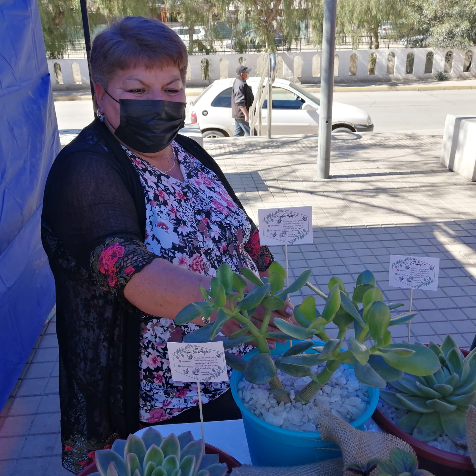 “Jardín Mágico” un emprendimiento para llenar de verdor los hogares