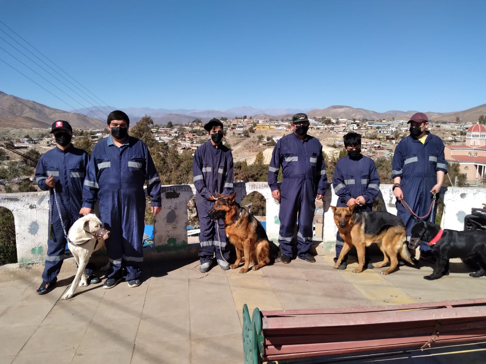 Niños y jóvenes se gradúan como instructores caninos en Andacollo