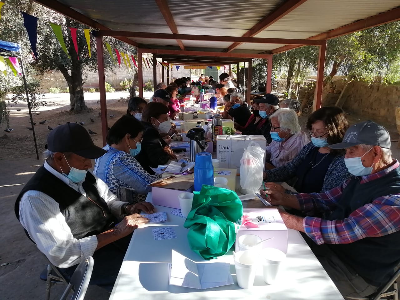 Adultos Mayores andacollinos celebran su día con bingo y mateada al aire  libre