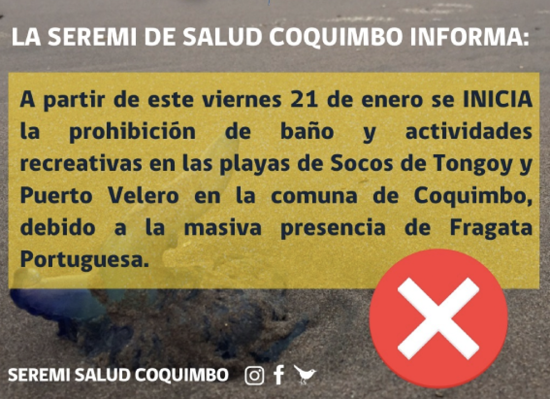 Autoridad Sanitaria decreta prohibición de baño en Tongoy y Puerto Velero