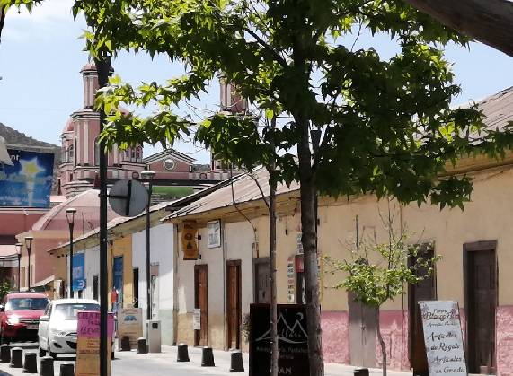 Más de 168.000 declaraciones espera recibir el SII durante Operación Renta 2022 en la Región de Coquimbo