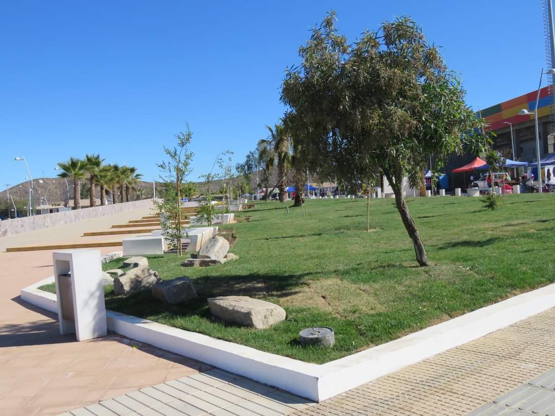 Invitan a las familias a participar mañana del concurso “La Fiesta del Volantín”