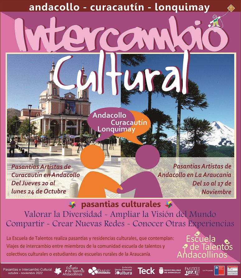Artistas de la Araucanía y Andacollo compartirán experiencias en visita de intercambio cultural