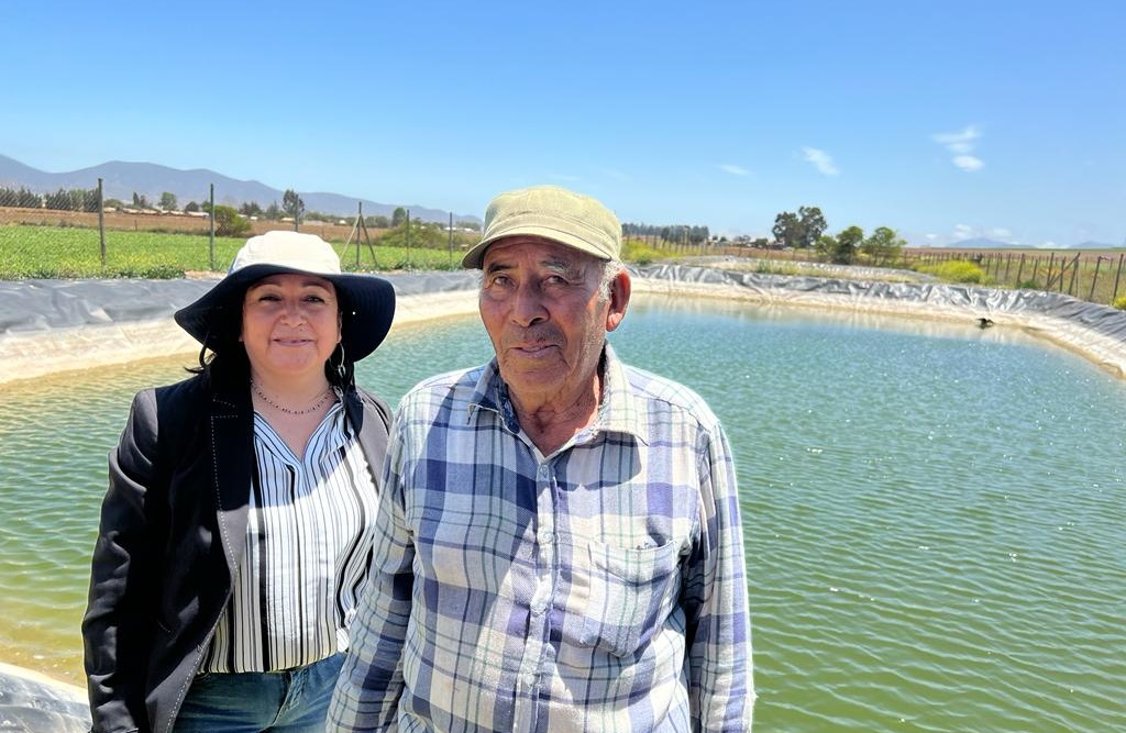 Buena noticia para el campo: INDAP abre concursos de Riego para sus usuarios y usuarias