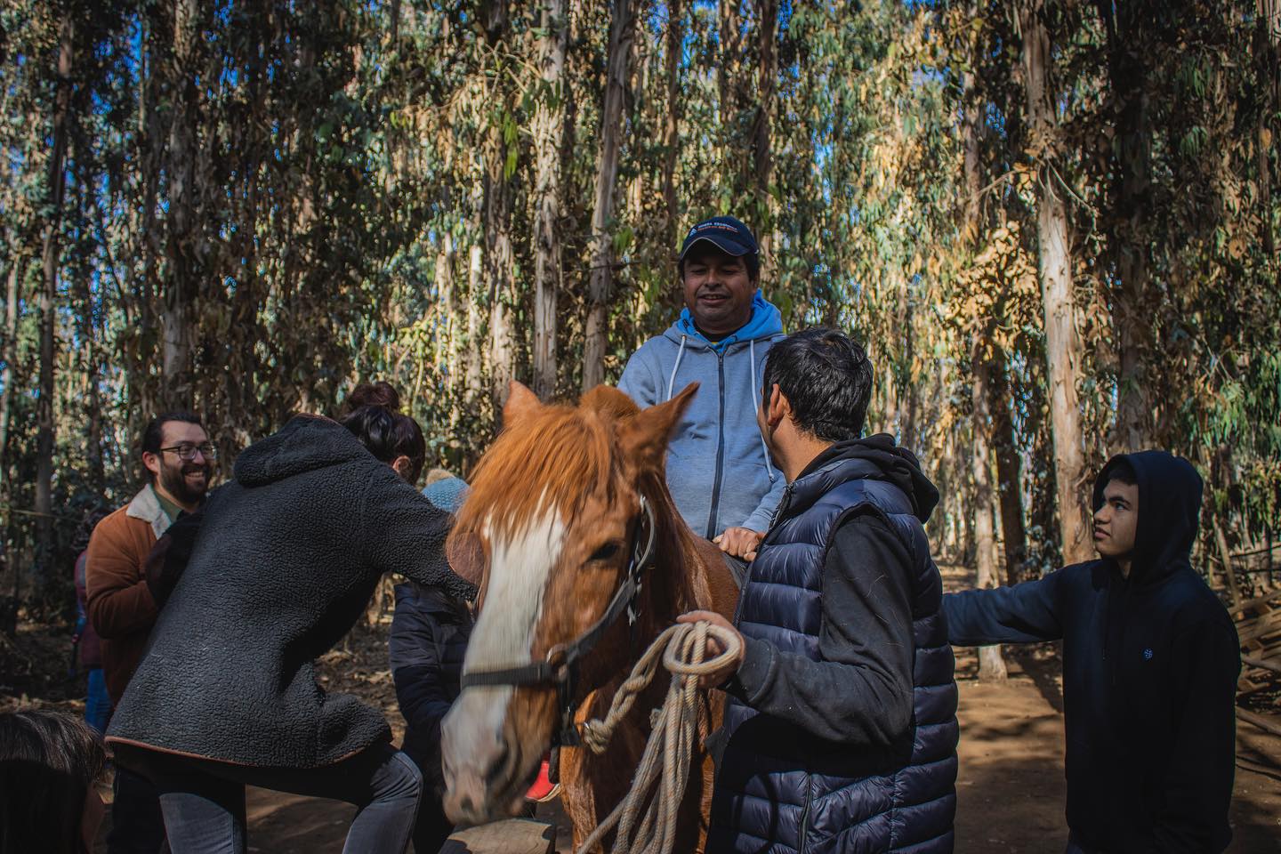 Oficina de la Discapacidad e Inclusión Social de la Municipalidad de Andacollo entrega instancia de equinoterapia a niños y niñas de la comuna