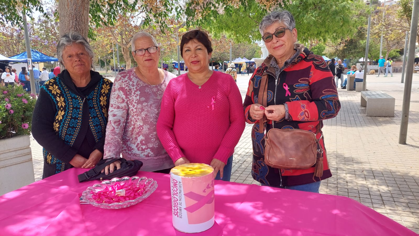 Agrupación de Amigos Oncológicos de Andacollo realizó su colecta anual