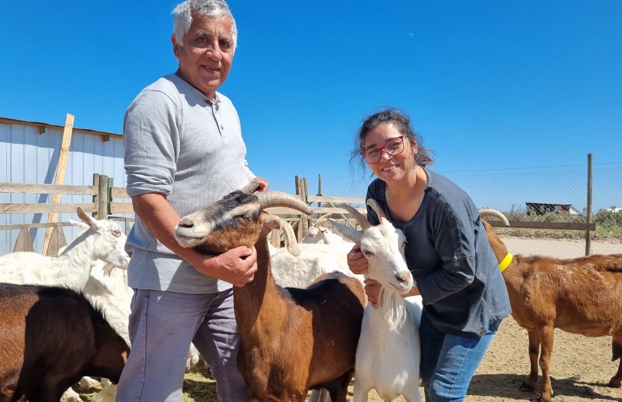 INDAP invita a postular a los beneficios de dos de sus programas: Estudios de Riego y Drenaje y al Plan Caprino