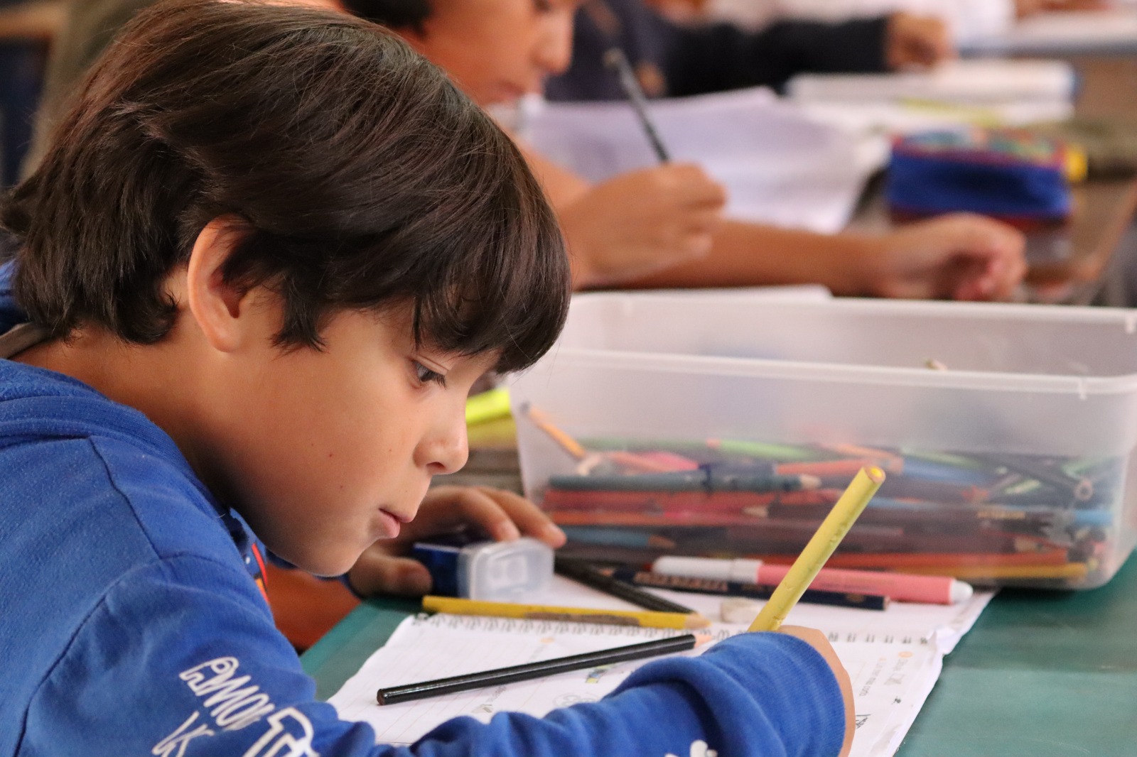 Servicio Local Puerto Cordillera promedió 87% de asistencia a clases de estudiantes durante el año escolar 2023