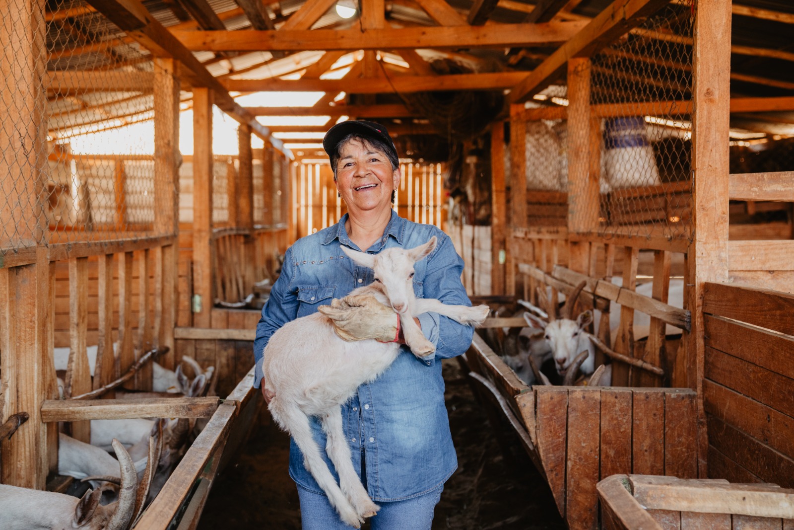 Productora caprina Juana Pérez: “Yo no digo que tengo cabras, yo me refiero a ellas como ‘mis patronas’”