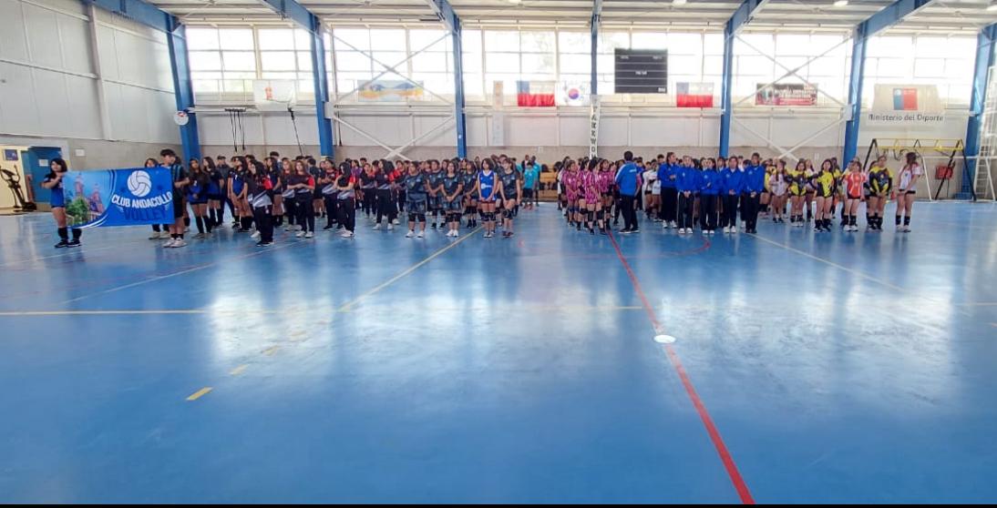 Club Andacollo Voley participó en ceremonia inaugural de la Liga Regional de Voleibol Monvican