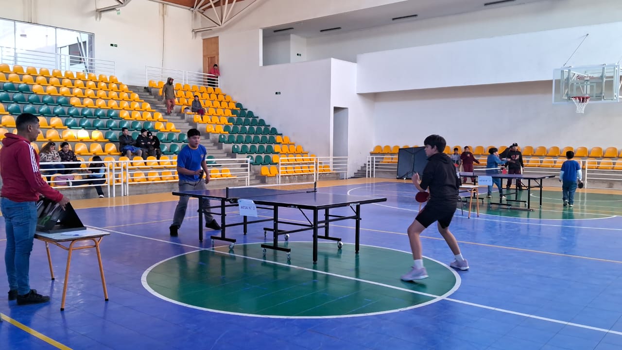 Escuela Luis Cruz Martínez realizó campeonato escolar de tenis de mesa