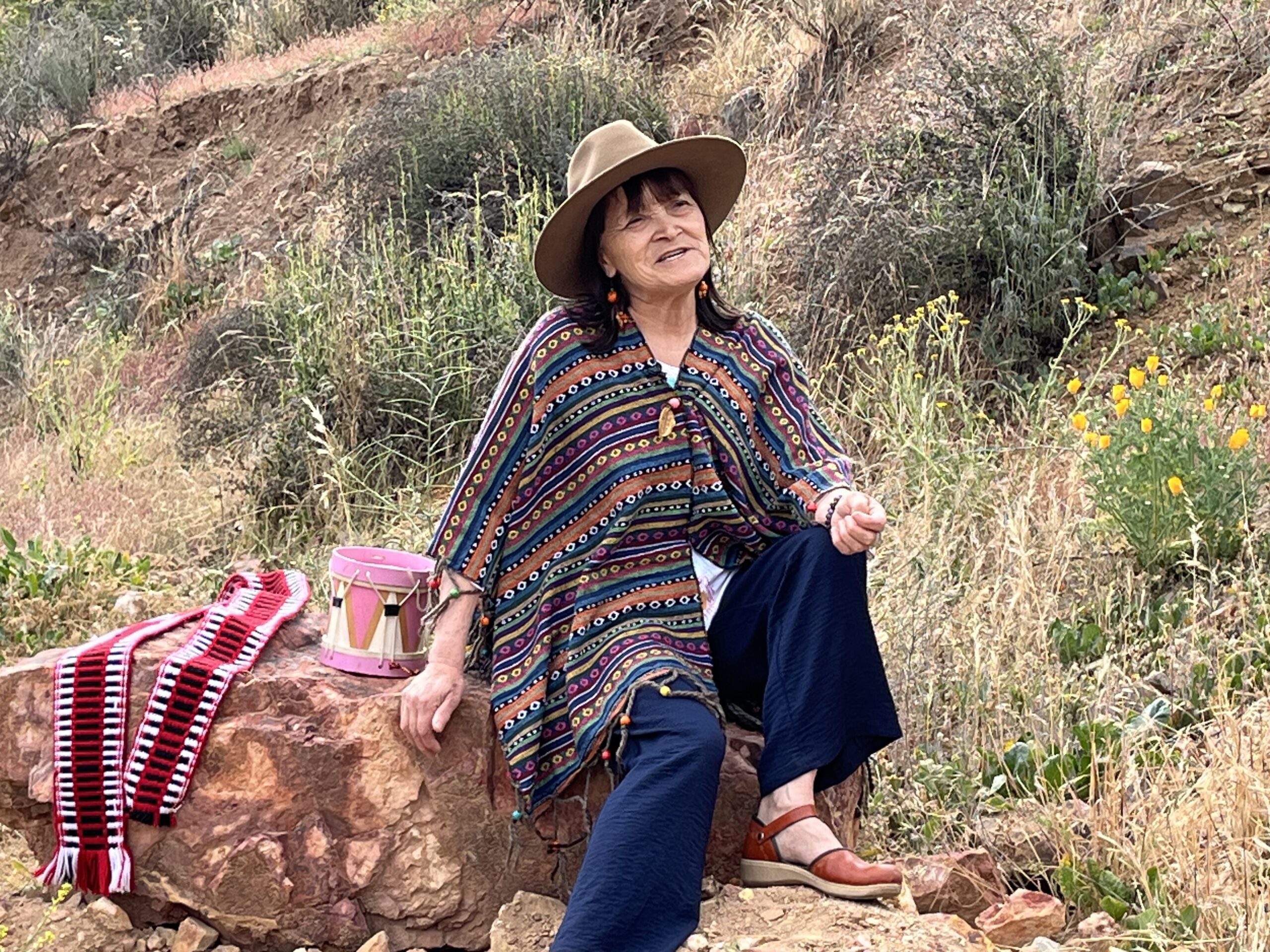 Luz Margarita Bugueño: primera maestra diaguita en llegar a la educación en Andacollo