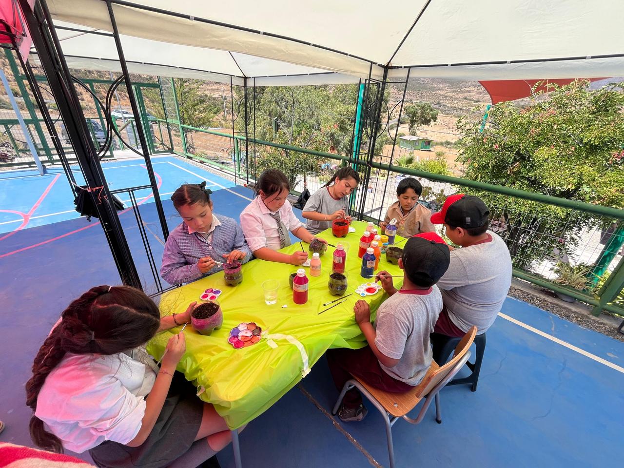 Huerta orgánica fue realizada por estudiantes de Escuela Domingo Santa María y José Luis Arraño