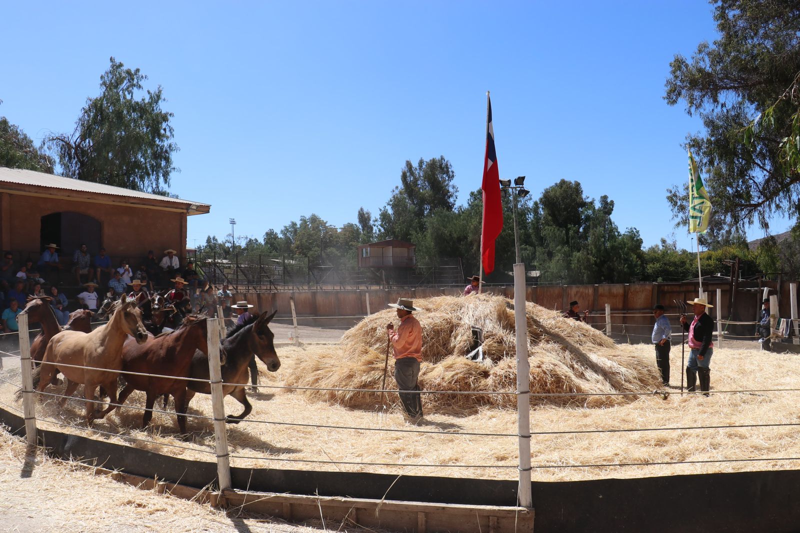 Trilla a Yegua Suelta contó con gran participación de público en sus dos jornadas de celebración