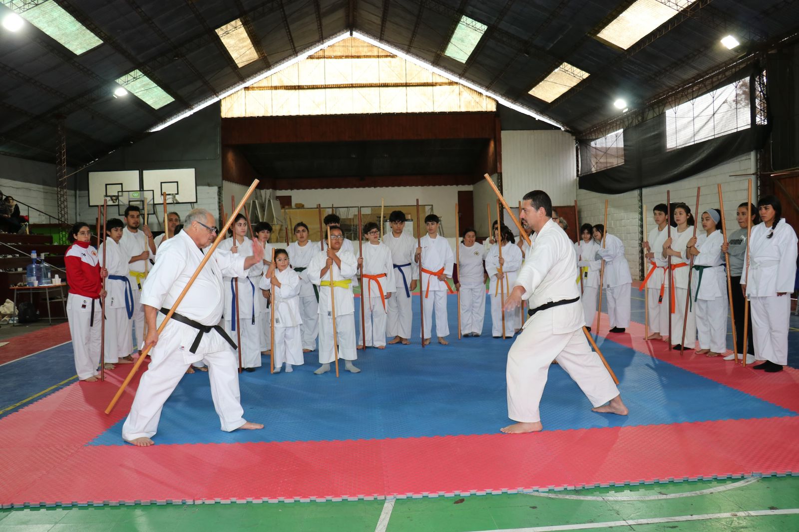 Seminario de Kobudo y Goju Ryu reunió a niños, jóvenes y adultos en Andacollo